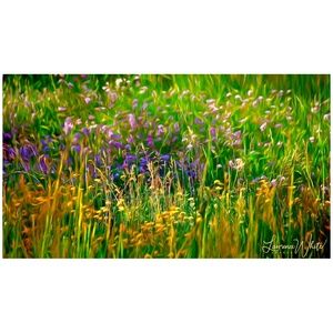 Meadow Impression 10